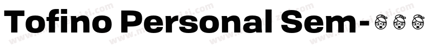 Tofino Personal Sem字体转换